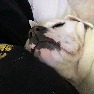 Meet your Posher, Abby